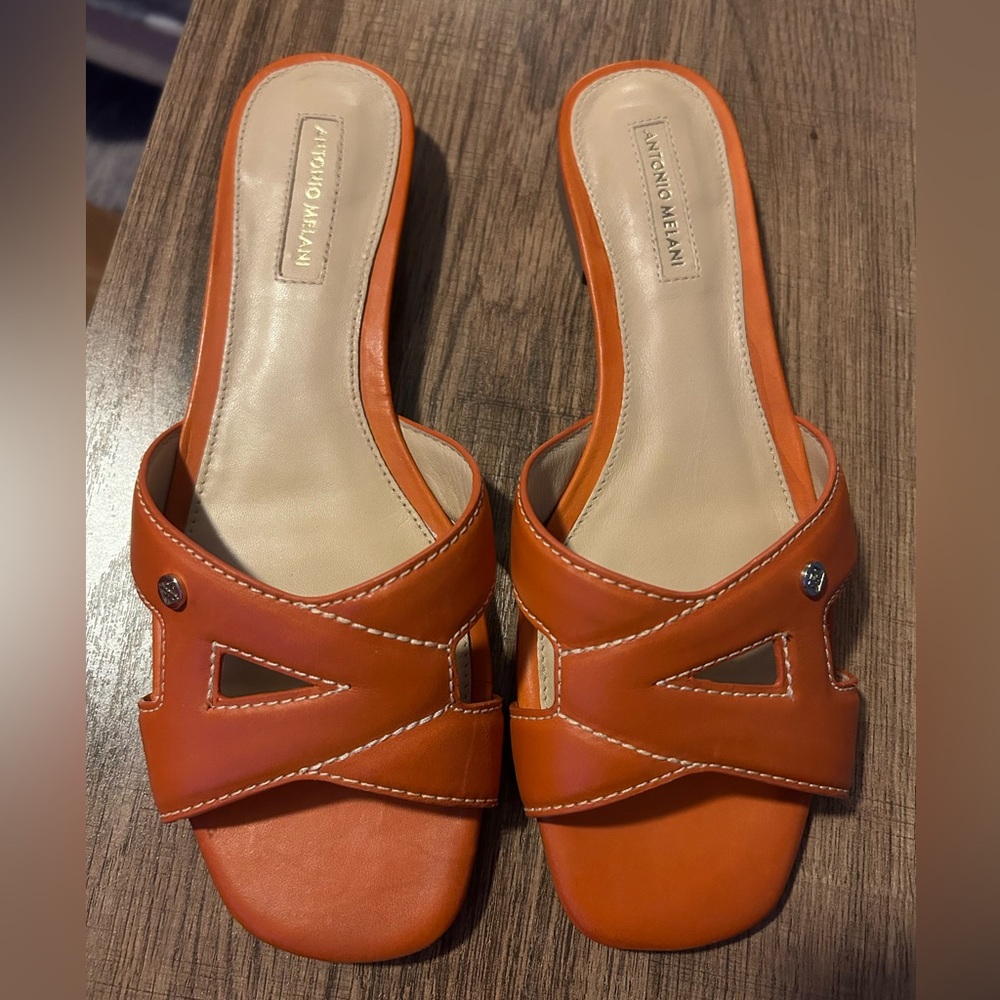 NEW- Antonio Melani Carrah shoes